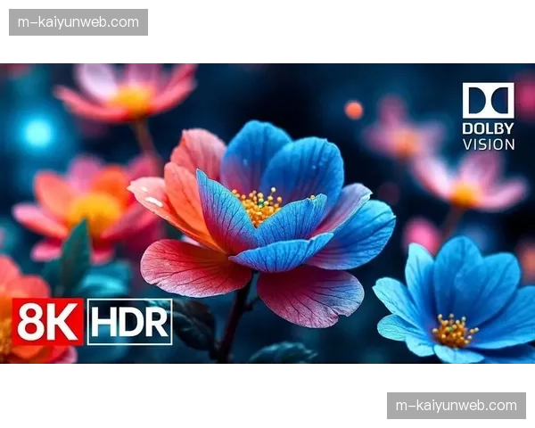 4K HDR制播标准正向下沉至大众赛事 提升整体观感